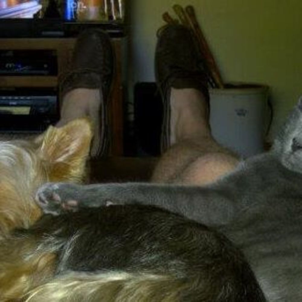 Meet your Posher, Danny